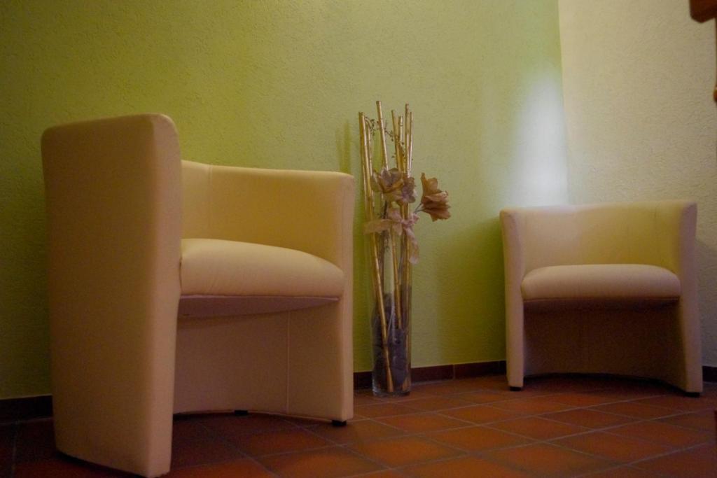 Schoneck Garni - - Hochschwarzwald Hotel